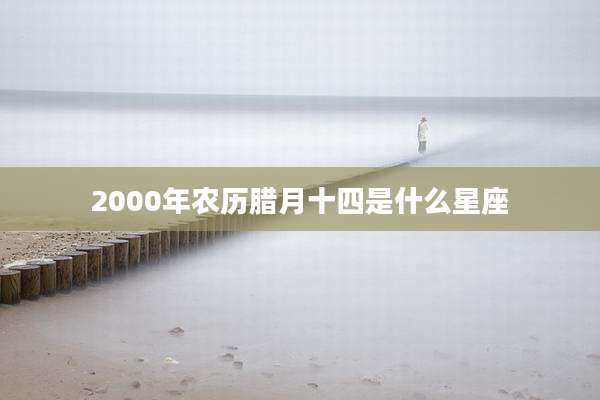 2000年农历腊月十四是什么星座