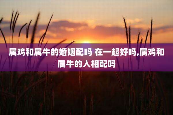 属鸡和属牛的婚姻配吗 在一起好吗,属鸡和属牛的人相配吗