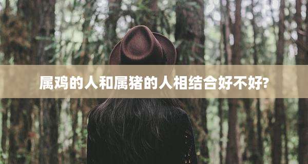 属鸡的人和属猪的人相结合好不好?