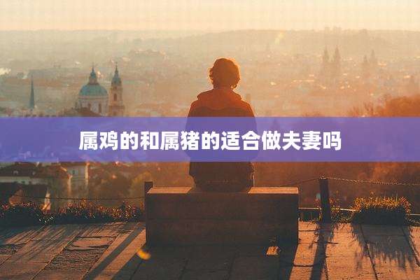 属鸡的和属猪的适合做夫妻吗