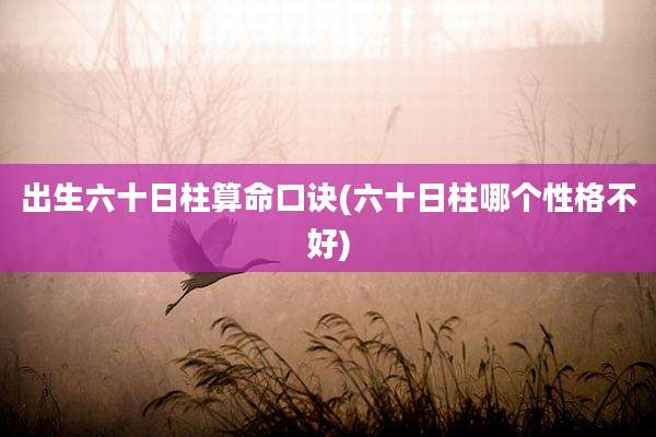 出生六十日柱算命口诀(六十日柱哪个性格不好)
