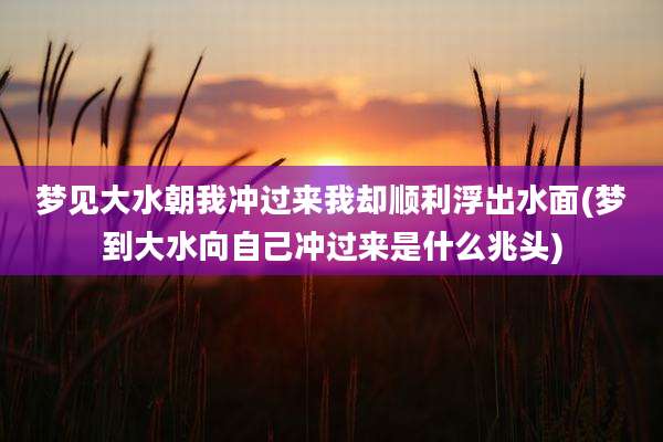 梦见大水朝我冲过来我却顺利浮出水面(梦到大水向自己冲过来是什么兆头)
