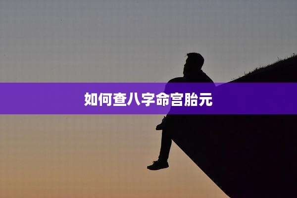 如何查八字命宫胎元