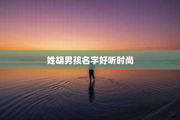 姓胡男孩名字好听时尚