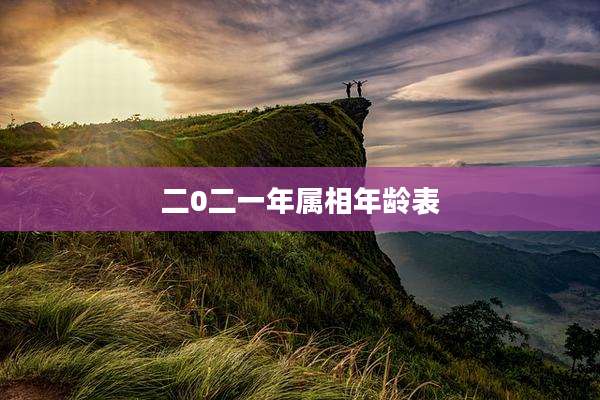 二0二一年属相年龄表