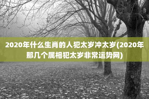 2020年什么生肖的人犯太岁冲太岁(2020年那几个属相犯太岁非常运势网)