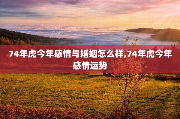 74年虎今年感情与婚姻怎么样,74年虎今年感情运势