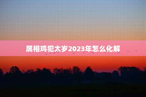 属相鸡犯太岁2023年怎么化解