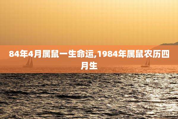 84年4月属鼠一生命运,1984年属鼠农历四月生