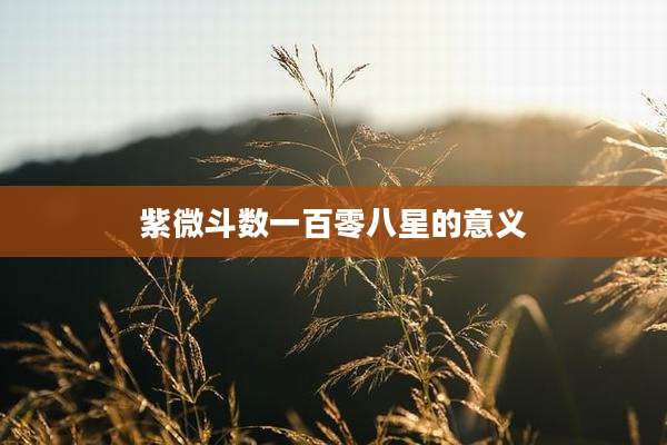 紫微斗数一百零八星的意义