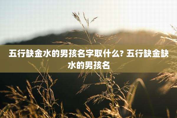 五行缺金水的男孩名字取什么? 五行缺金缺水的男孩名