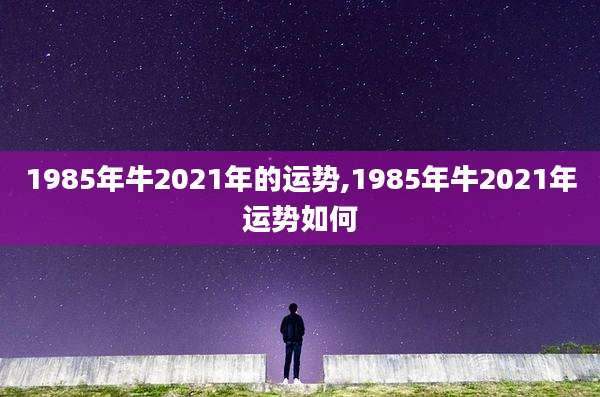1985年牛2021年的运势,1985年牛2021年运势如何