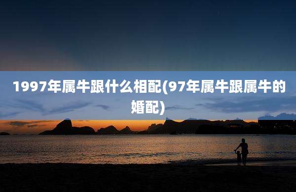 1997年属牛跟什么相配(97年属牛跟属牛的婚配)