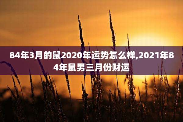 84年3月的鼠2020年运势怎么样,2021年84年鼠男三月份财运