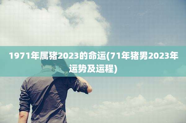 1971年属猪2023的命运(71年猪男2023年运势及运程)