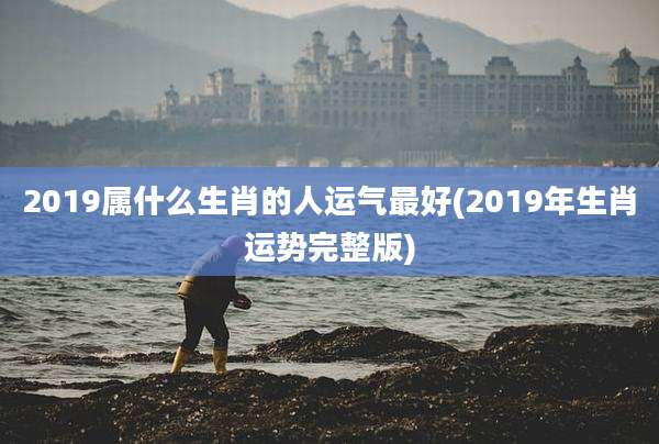 2019属什么生肖的人运气最好(2019年生肖运势完整版)