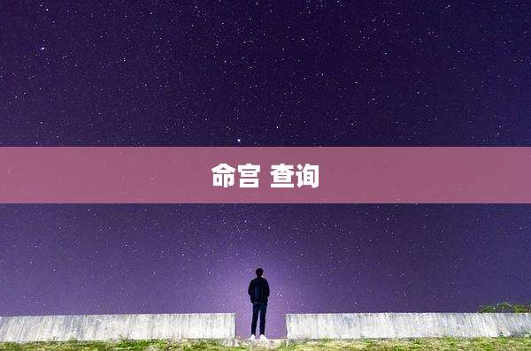 命宫 查询