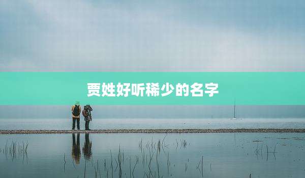 贾姓好听稀少的名字