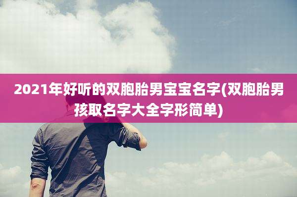 2021年好听的双胞胎男宝宝名字(双胞胎男孩取名字大全字形简单)