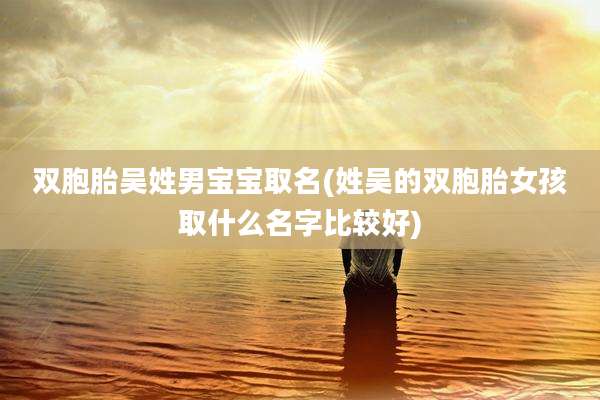 双胞胎吴姓男宝宝取名(姓吴的双胞胎女孩取什么名字比较好)