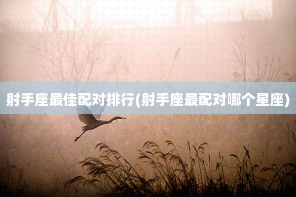 射手座最佳配对排行(射手座最配对哪个星座)
