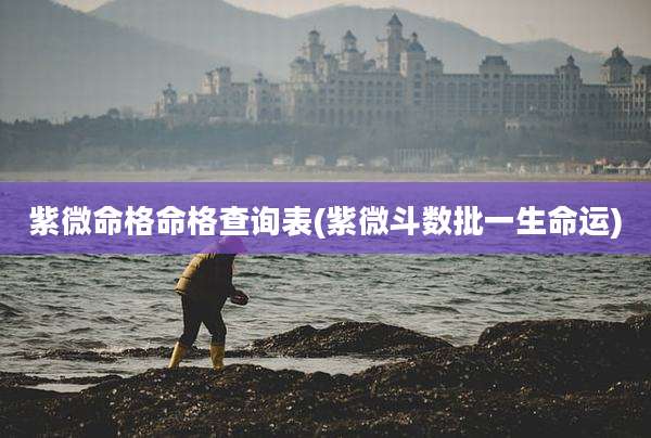 紫微命格命格查询表(紫微斗数批一生命运)