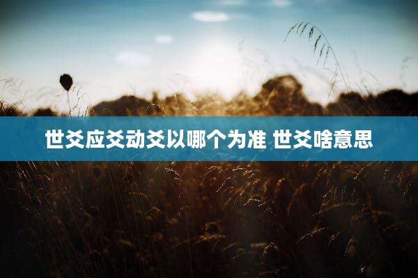 世爻应爻动爻以哪个为准 世爻啥意思