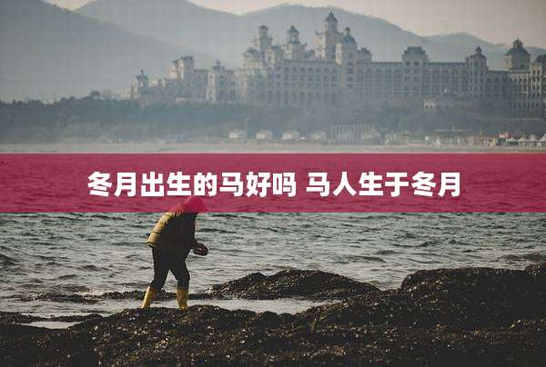 冬月出生的马好吗 马人生于冬月