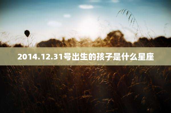 2014.12.31号出生的孩子是什么星座