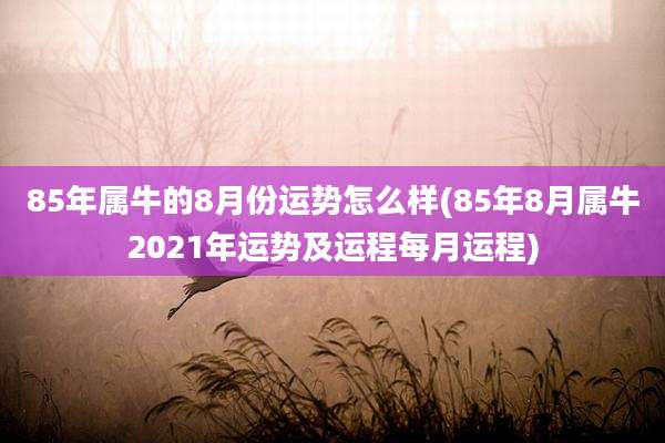 85年属牛的8月份运势怎么样(85年8月属牛2021年运势及运程每月运程)