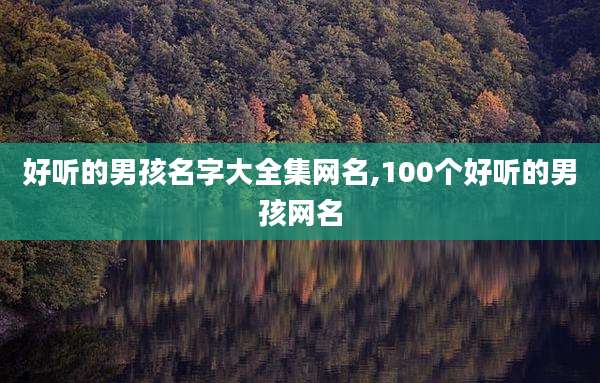 好听的男孩名字大全集网名,100个好听的男孩网名