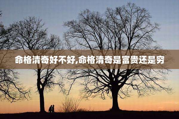 命格清奇好不好,命格清奇是富贵还是穷