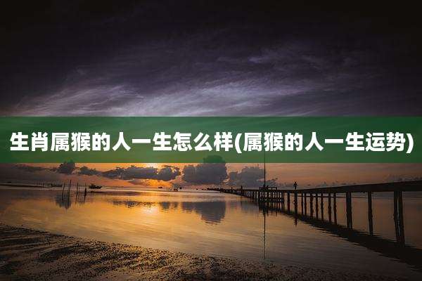 生肖属猴的人一生怎么样(属猴的人一生运势)