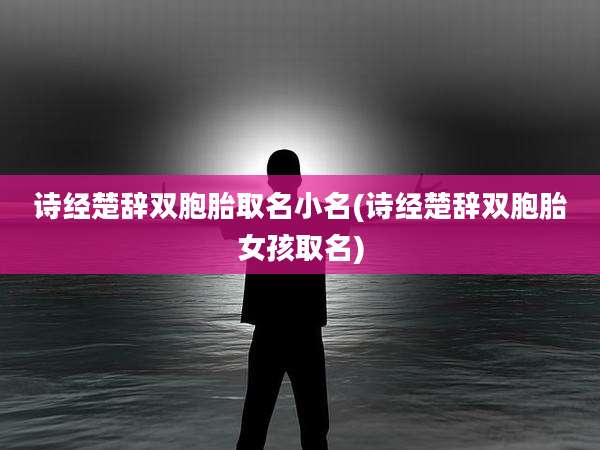 诗经楚辞双胞胎取名小名(诗经楚辞双胞胎女孩取名)