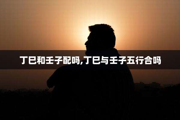 丁巳和壬子配吗,丁巳与壬子五行合吗