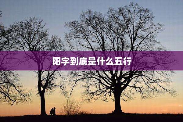 阳字到底是什么五行