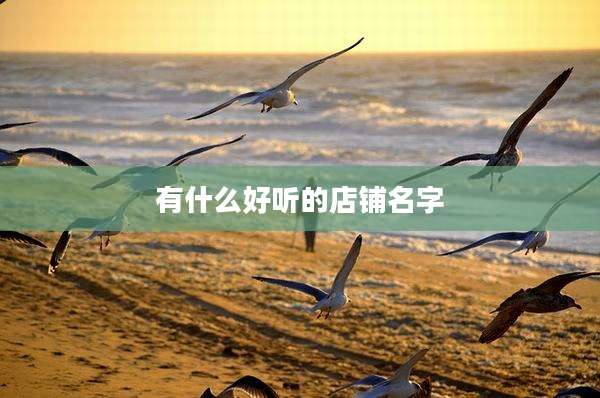 有什么好听的店铺名字