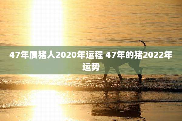 47年属猪人2020年运程 47年的猪2022年运势