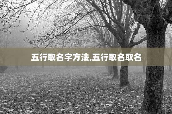五行取名字方法,五行取名取名