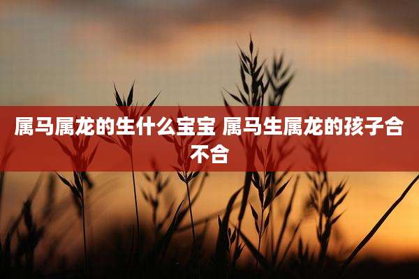 属马属龙的生什么宝宝 属马生属龙的孩子合不合