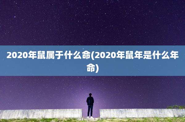 2020年鼠属于什么命(2020年鼠年是什么年命)