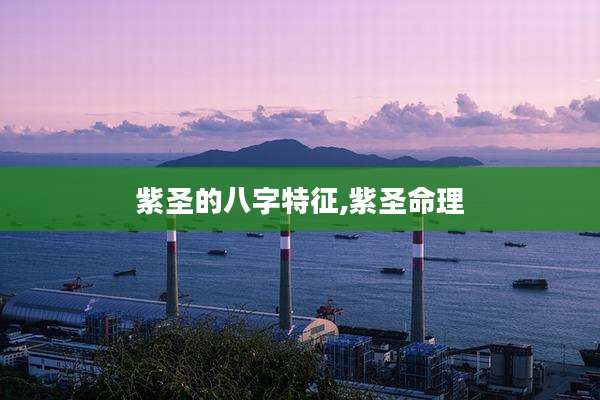 紫圣的八字特征,紫圣命理