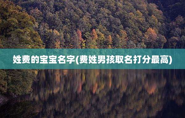 姓费的宝宝名字(费姓男孩取名打分最高)
