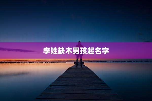 李姓缺木男孩起名字