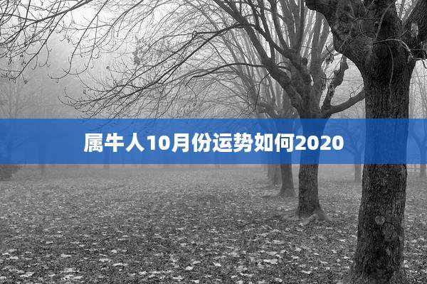 属牛人10月份运势如何2020