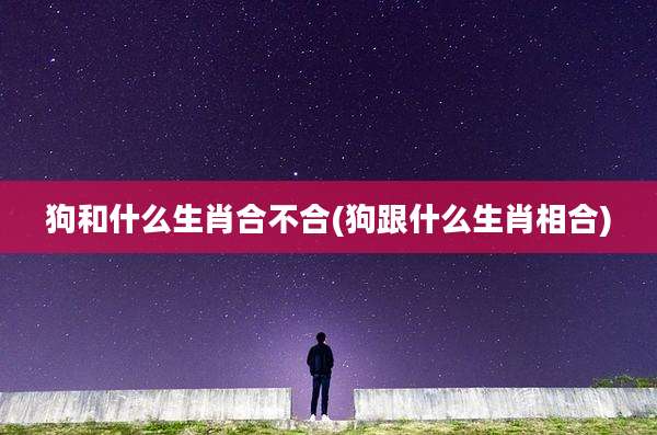 狗和什么生肖合不合(狗跟什么生肖相合)