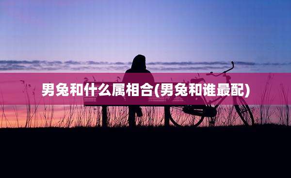 男兔和什么属相合(男兔和谁最配)