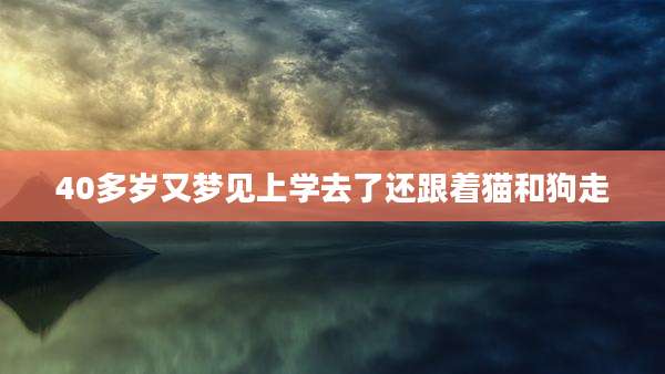 40多岁又梦见上学去了还跟着猫和狗走