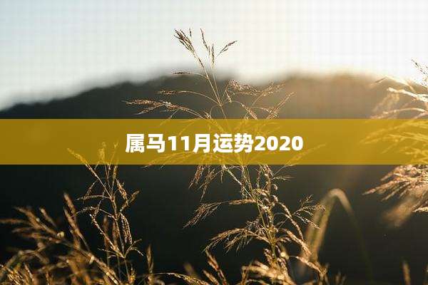 属马11月运势2020