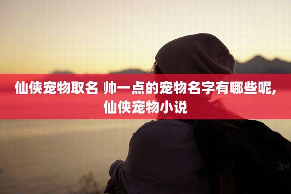 仙侠宠物取名 帅一点的宠物名字有哪些呢,仙侠宠物小说